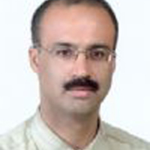 سید حمید آتش پور